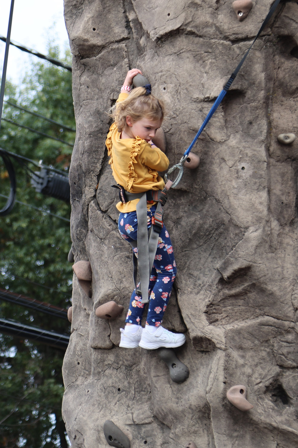 Crowds flock to Malverne Fall Festival Herald Community Newspapers